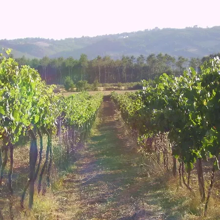 Agriturismo Santa Barbara *